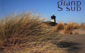 Les Aigrettes - Studio Proche De La Plage